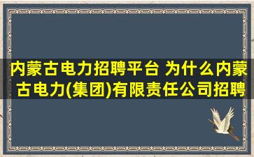 内蒙古电力招聘平台 为什么内蒙古电力(*)有限责任*招聘平台登不上去